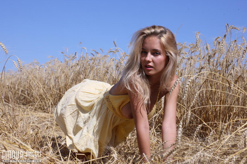 asya blonde naked on wheat field tits amour angels 02.