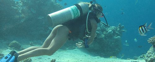 Nikky Thorne nude underwater